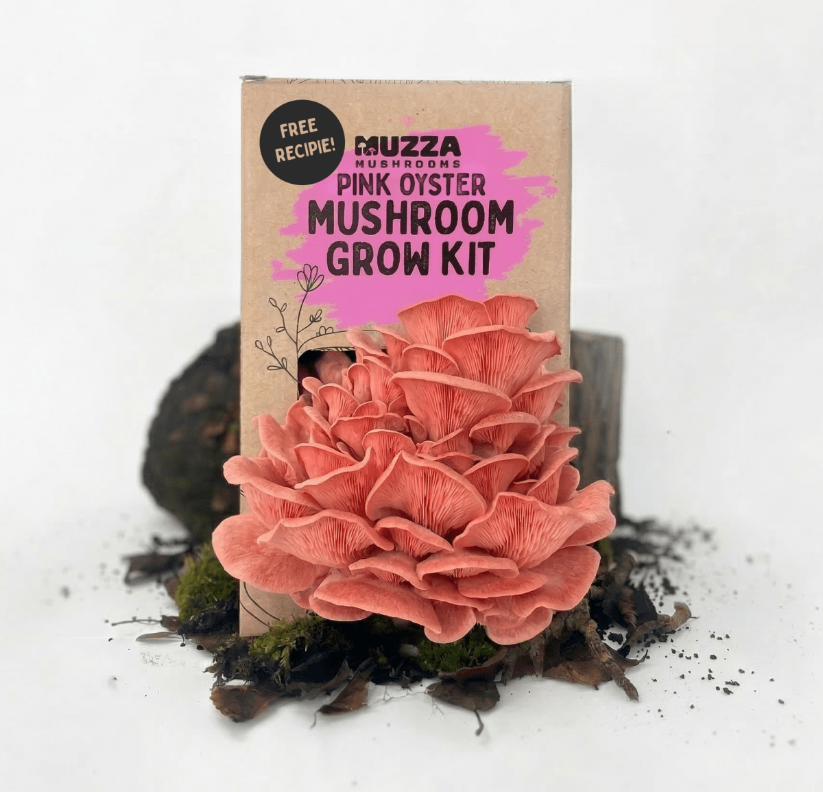 Oyster Mushroom Grow Kit - Muzza Mushrooms
